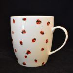 Reuzenmok Lieveheersbeestjes