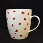 Reuzenmok Lieveheersbeestjes
